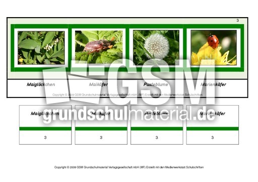 Setzleiste-zusammengesetzte-Frühlingswörter 3.pdf